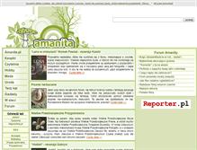 Tablet Screenshot of amanita.pl